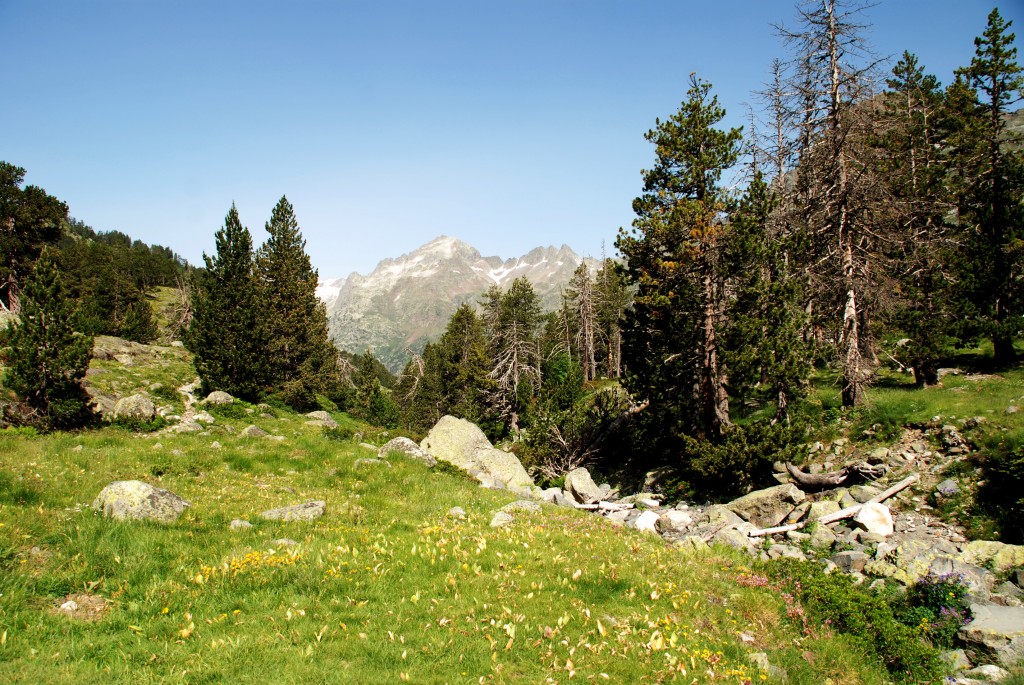 Foto de Valle de Benasque (Huesca), España