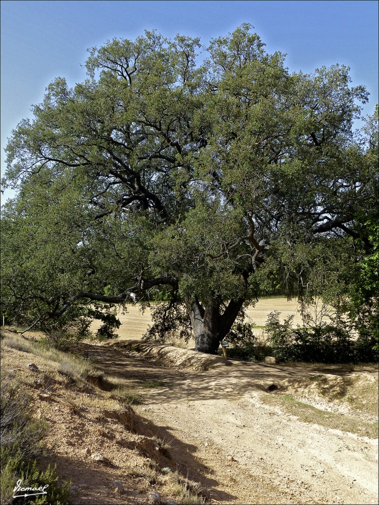 Foto: 120810-04 EMBID, CASA LA VEGA - Embid De Ariza (Zaragoza), España