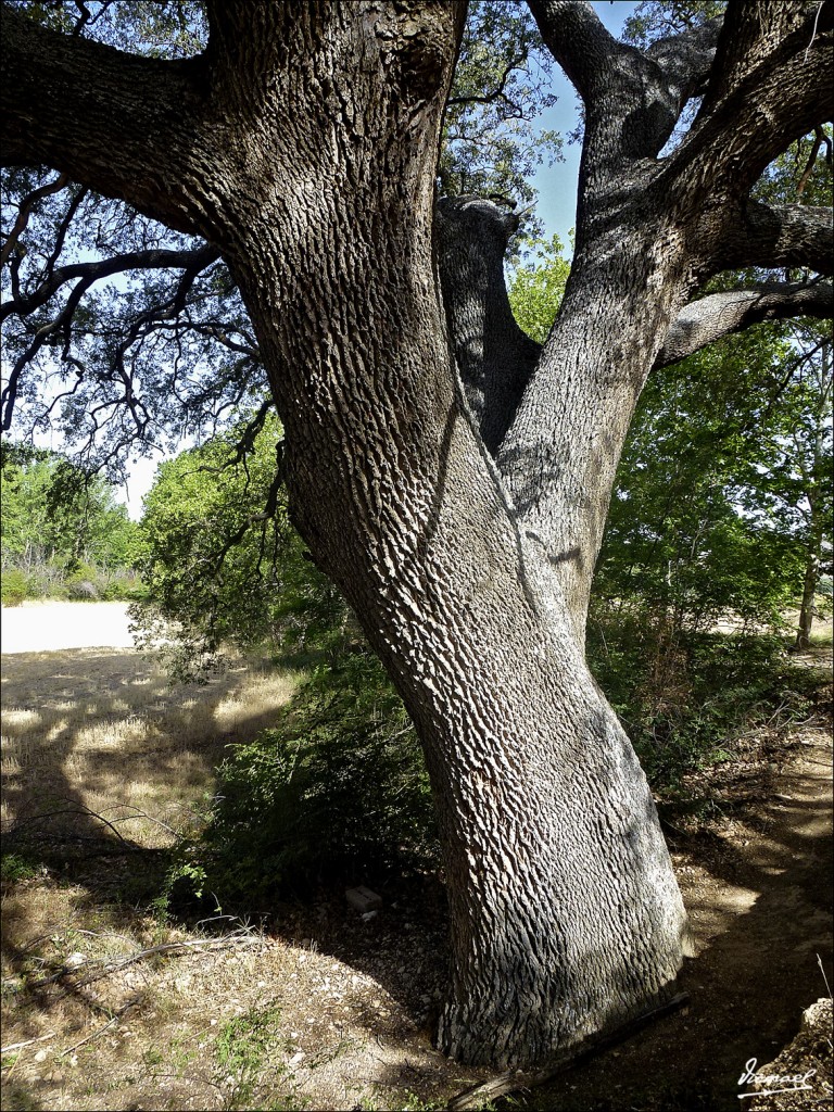 Foto: 120810-07 EMBID, CASA LA VEGA - Embid De Ariza (Zaragoza), España