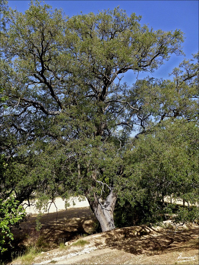 Foto: 120810-09 EMBID, CASA LA VEGA - Embid De Ariza (Zaragoza), España