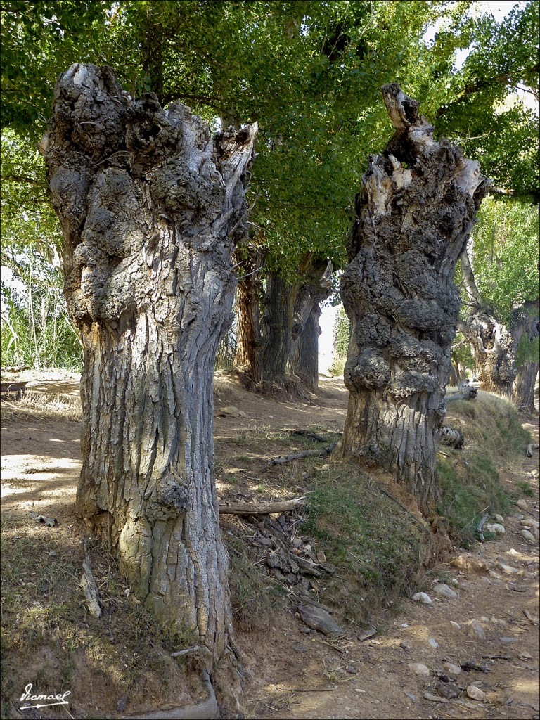 Foto: 120810-10 EMBID, CASA LA VEGA - Embid De Ariza (Zaragoza), España