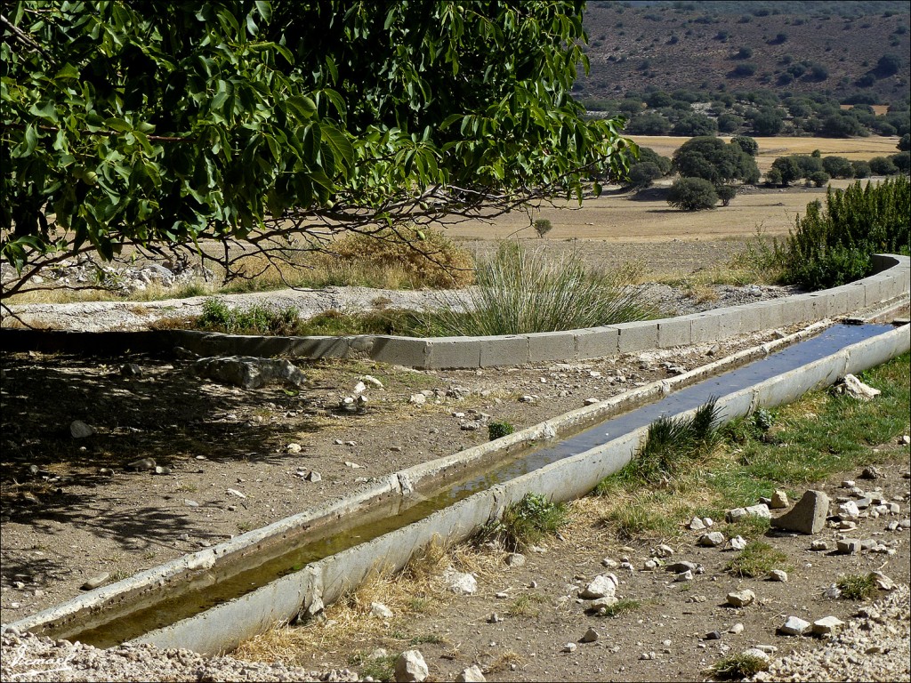 Foto: 120810-21 EMBID DE ARIZA - Embid De Ariza (Zaragoza), España