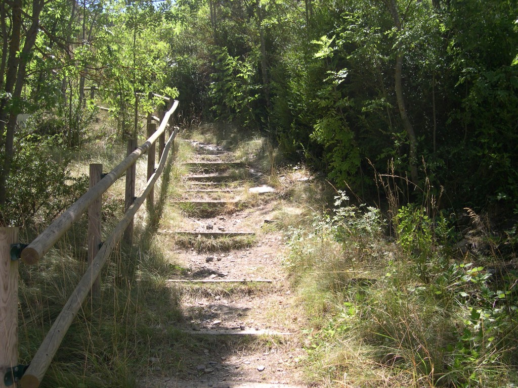 Foto de Montellà i Martinet (Lleida), España