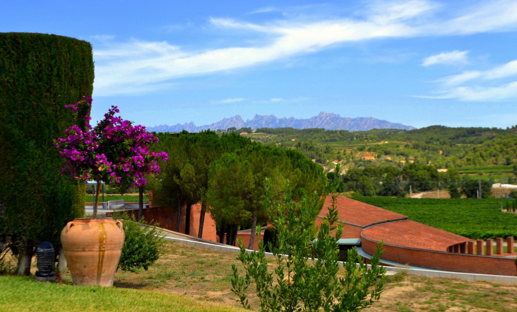 Foto: Cavas Raventos Blanc - Sant Sadurní d'Anoia (Barcelona), España