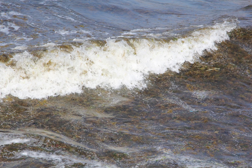 Foto de Tarifa (Cádiz), España