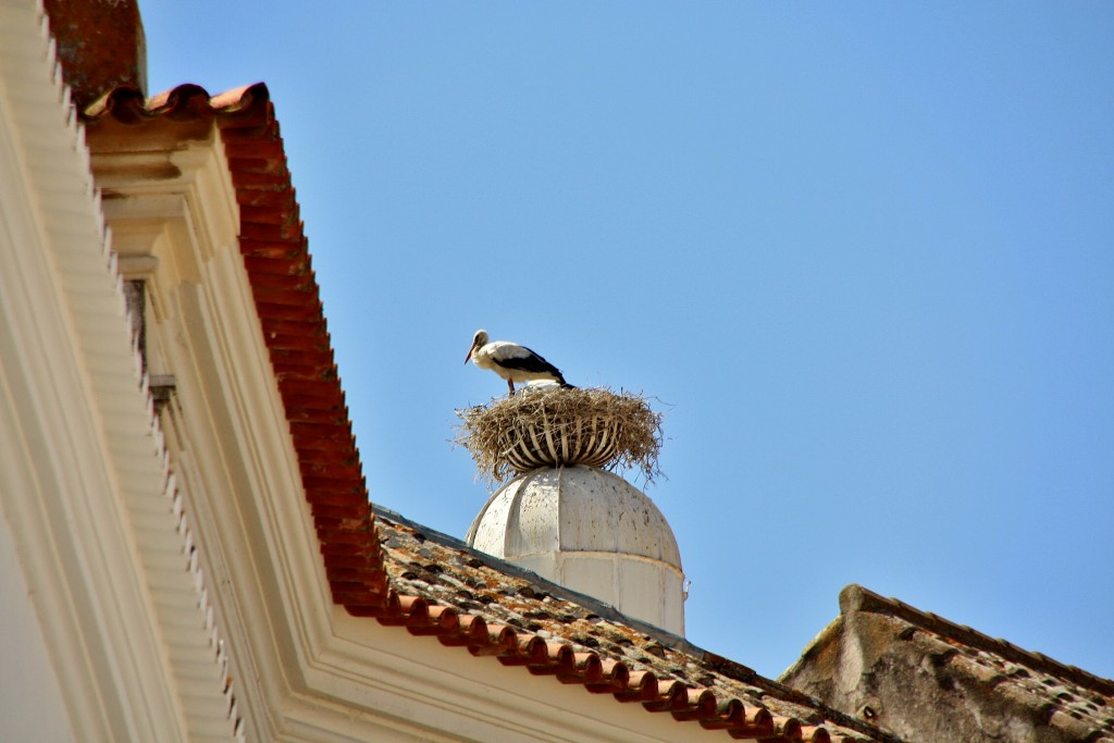 Foto: Centro histórico - Faro, Portugal