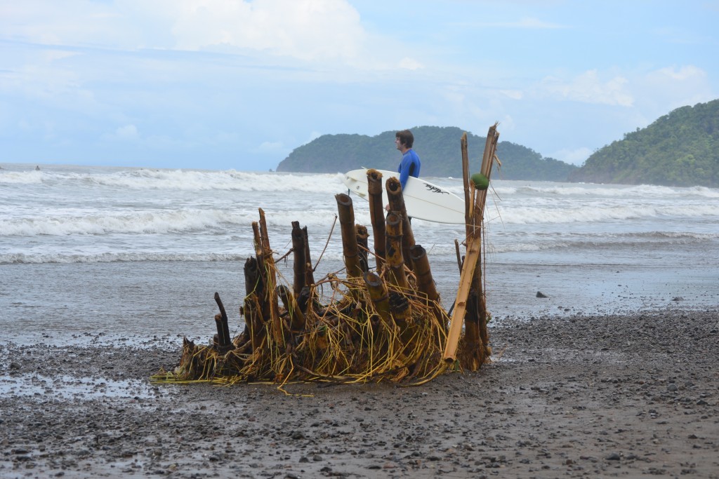 Foto: TRONCO - Jacob (Puntarenas), Costa Rica