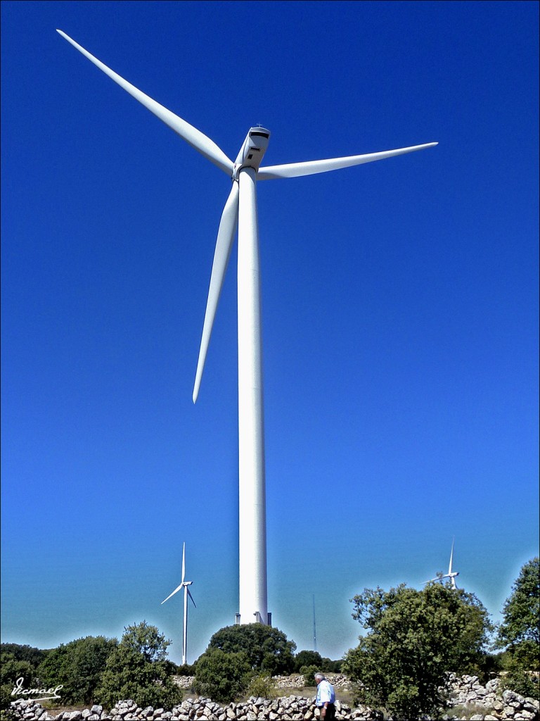 Foto: 120801-02 AGUAVIVA - Aguaviva (Soria), España