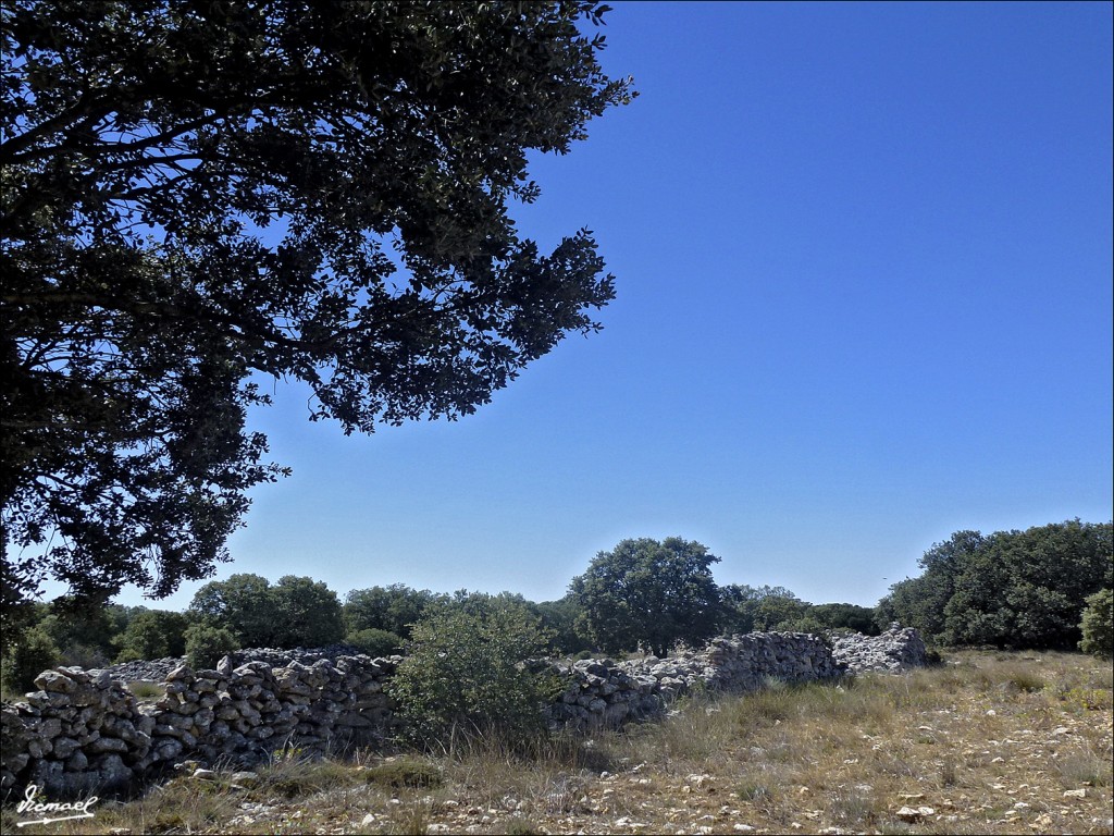 Foto: 120801-05 AGUAVIVA - Aguaviva (Soria), España