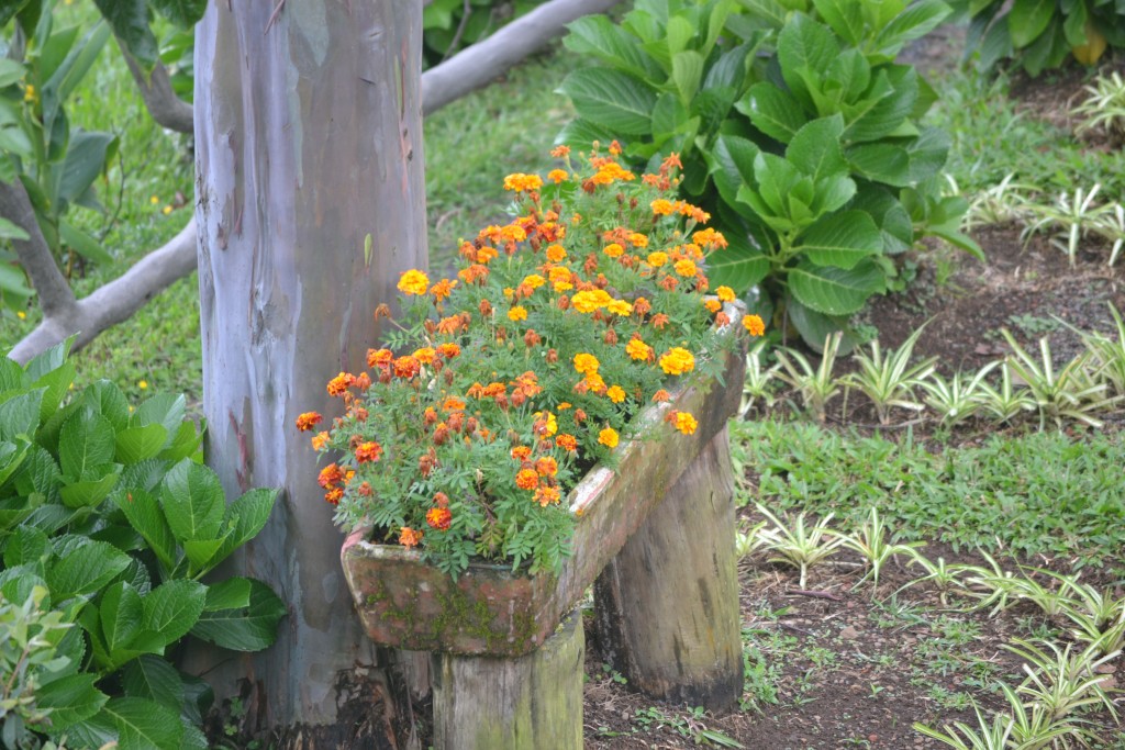 Foto de Vara Blanca (Alajuela), Costa Rica
