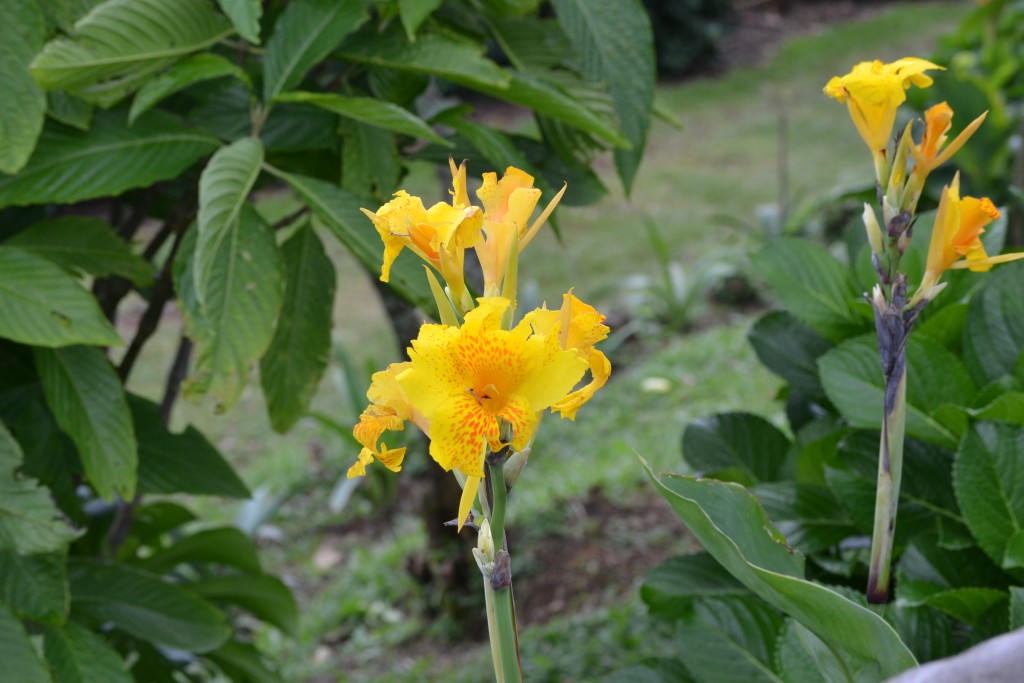 Foto de Vara Blanca (Alajuela), Costa Rica
