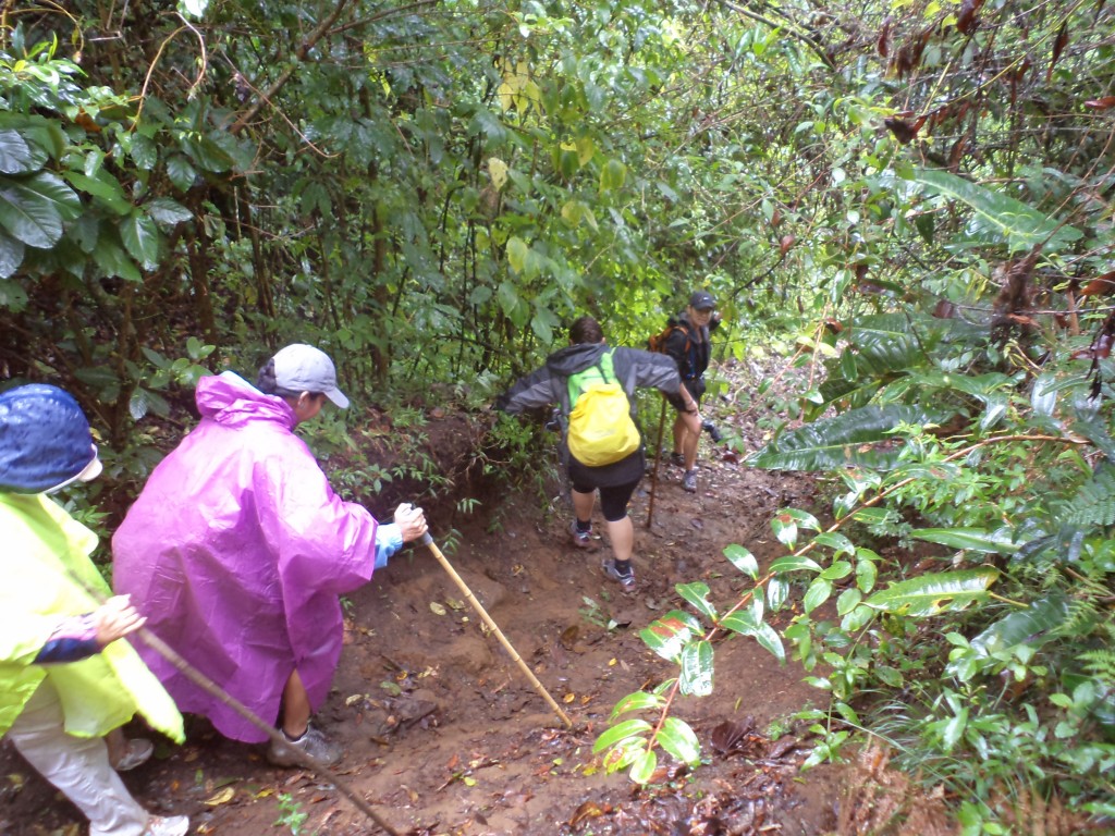 Foto de Vara Blanca (Alajuela), Costa Rica