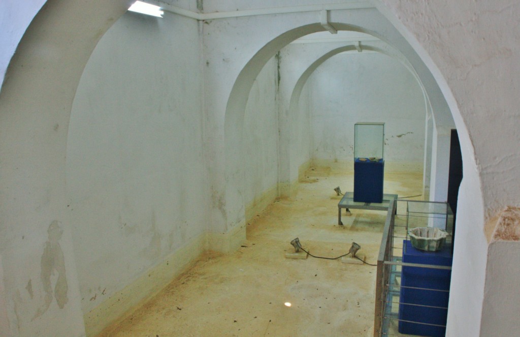 Foto: Cisterna del castillo - Silves (Faro), Portugal