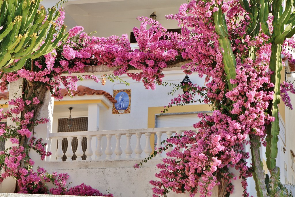 Foto: Vista del pueblo - Alte (Faro), Portugal