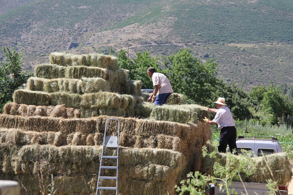Foto de Navacepeda de Tormes (Ávila), España