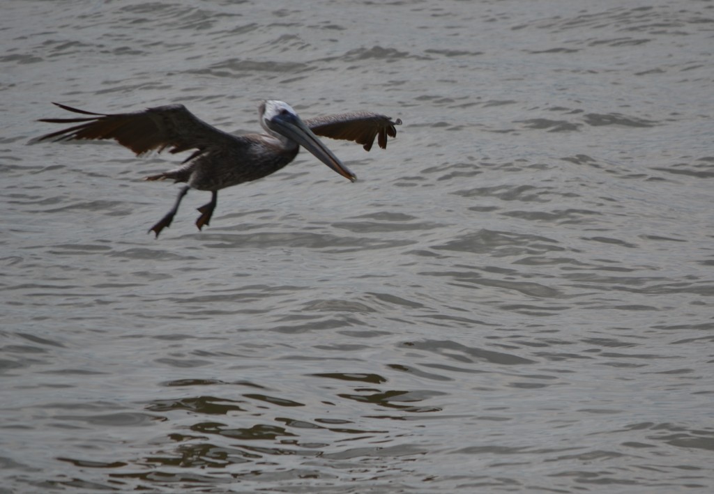 Foto de Puntarenas, Costa Rica