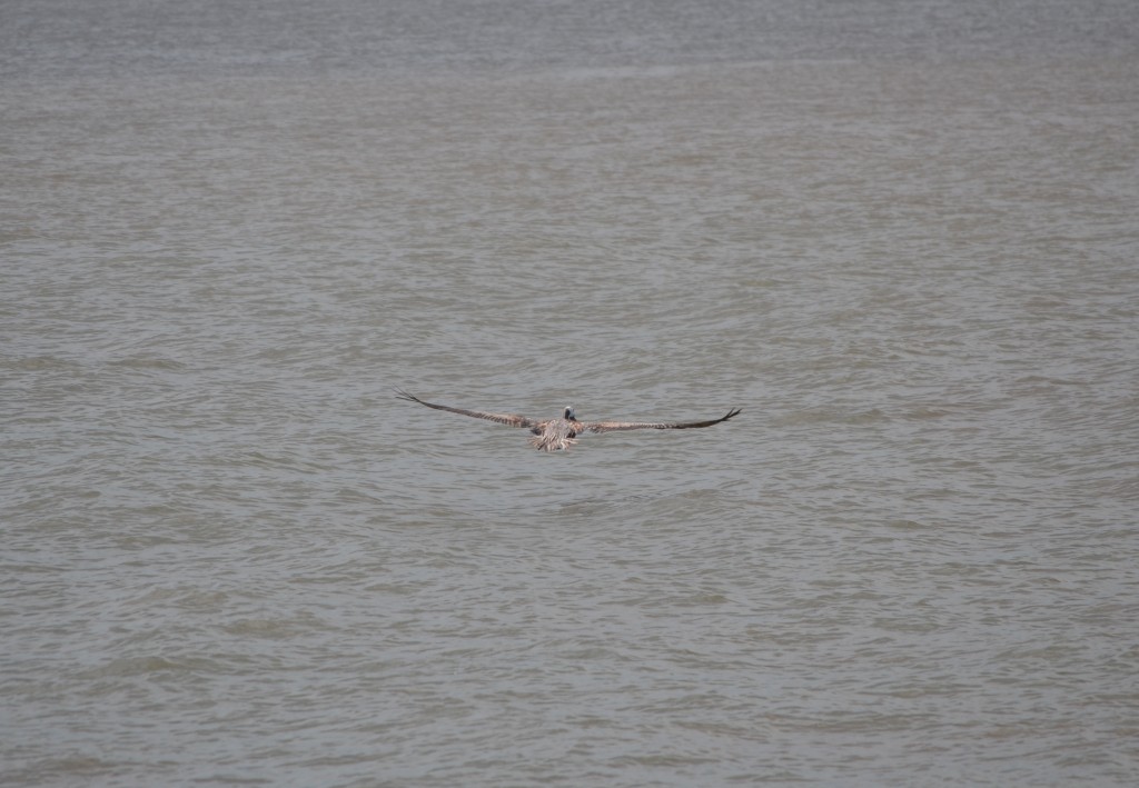 Foto de Puntarenas, Costa Rica