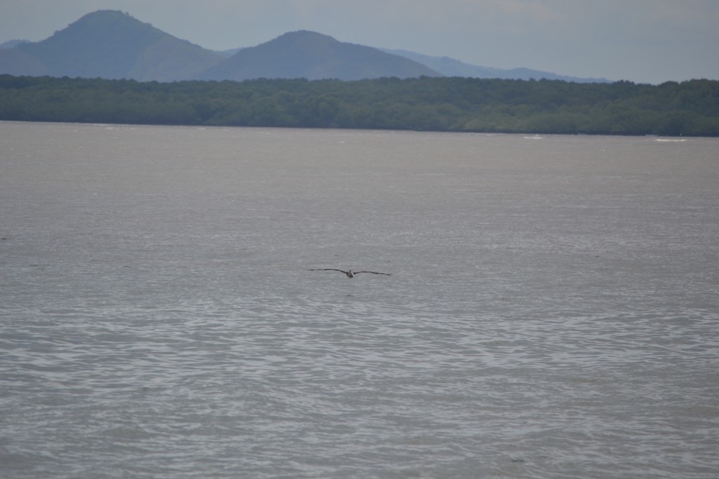 Foto de Puntarenas, Costa Rica