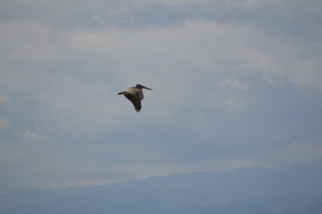 Foto de Puntarenas, Costa Rica