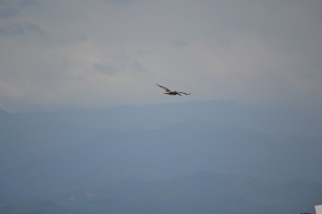 Foto de Puntarenas, Costa Rica