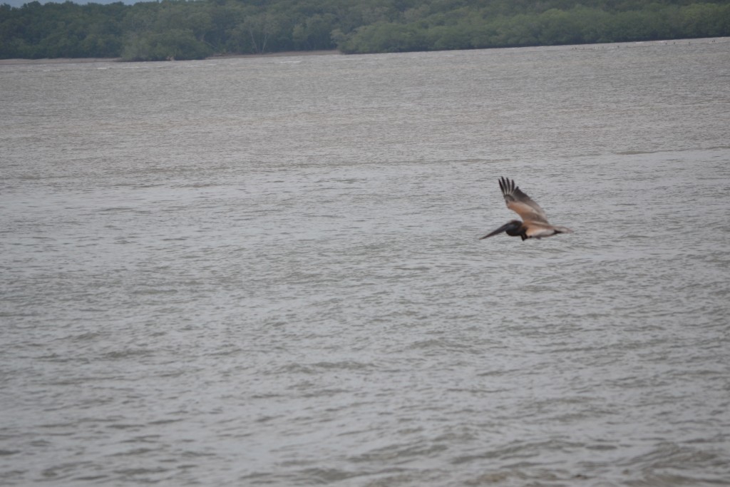 Foto de Puntarenas, Costa Rica