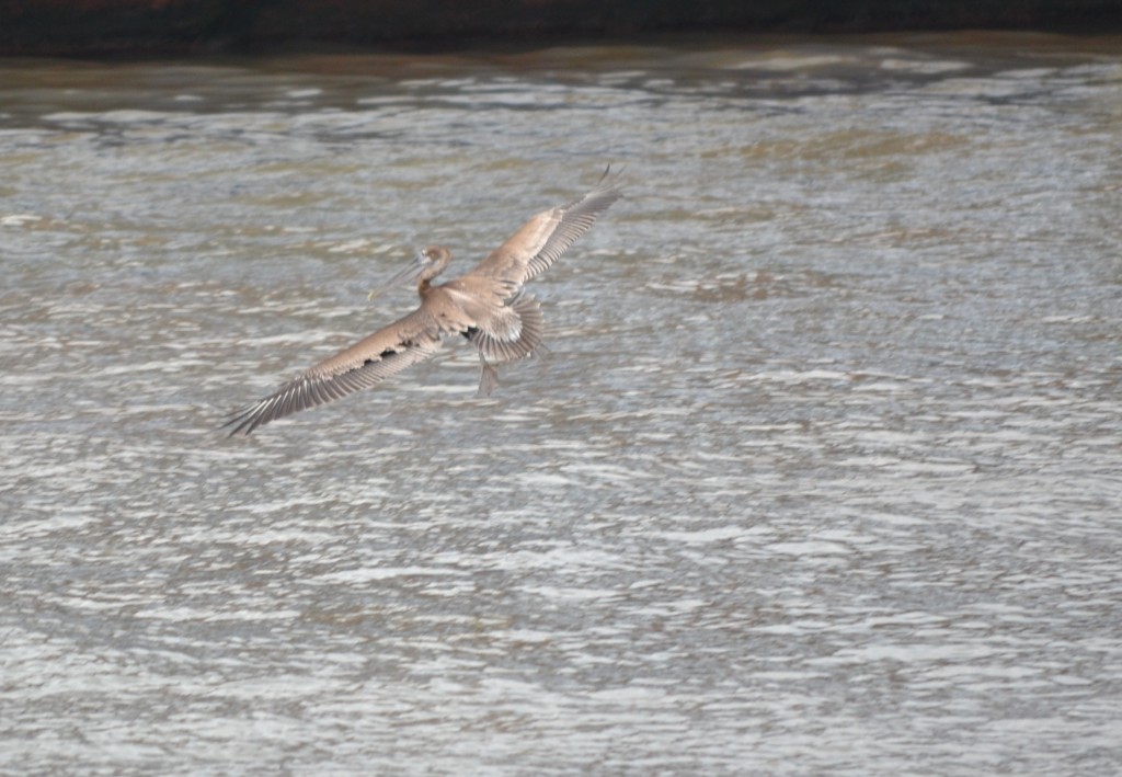 Foto de Puntarenas, Costa Rica