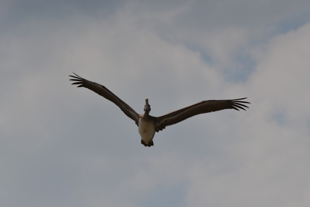 Foto de Puntarenas, Costa Rica