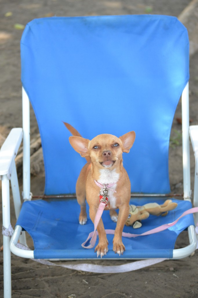 Foto de Puntarenas, Costa Rica