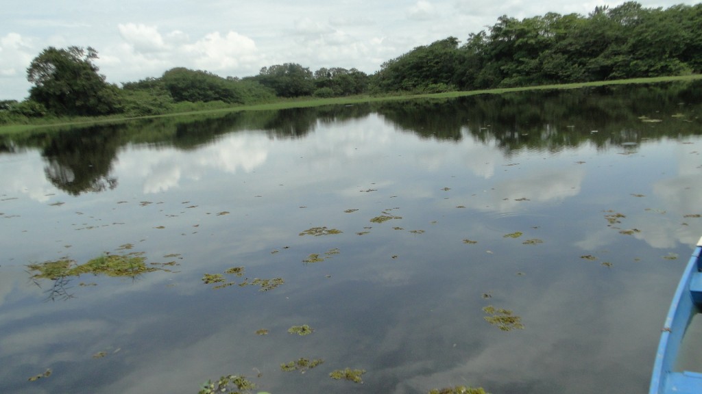 Foto de Cantón de Los Chiles, Reserva Caño Negro, y La Comunidad (Alajuela), Costa Rica