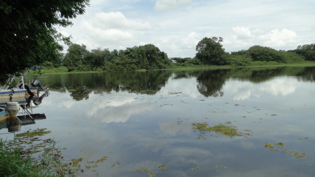 Foto de Cantón de Los Chiles, Reserva Caño Negro, y La Comunidad (Alajuela), Costa Rica