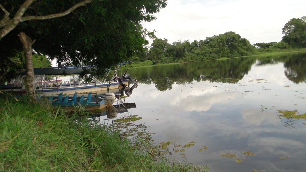 Foto de Cantón de Los Chiles, Reserva Caño Negro, y La Comunidad (Alajuela), Costa Rica