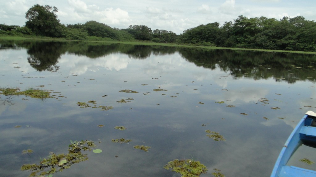 Foto de Cantón de Los Chiles, Reserva Caño Negro, y La Comunidad (Alajuela), Costa Rica