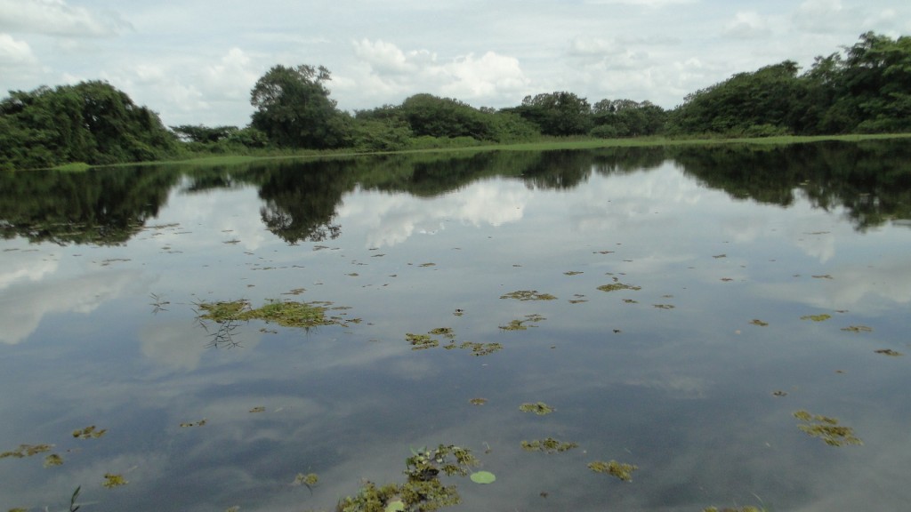 Foto de Cantón de Los Chiles, Reserva Caño Negro, y La Comunidad (Alajuela), Costa Rica