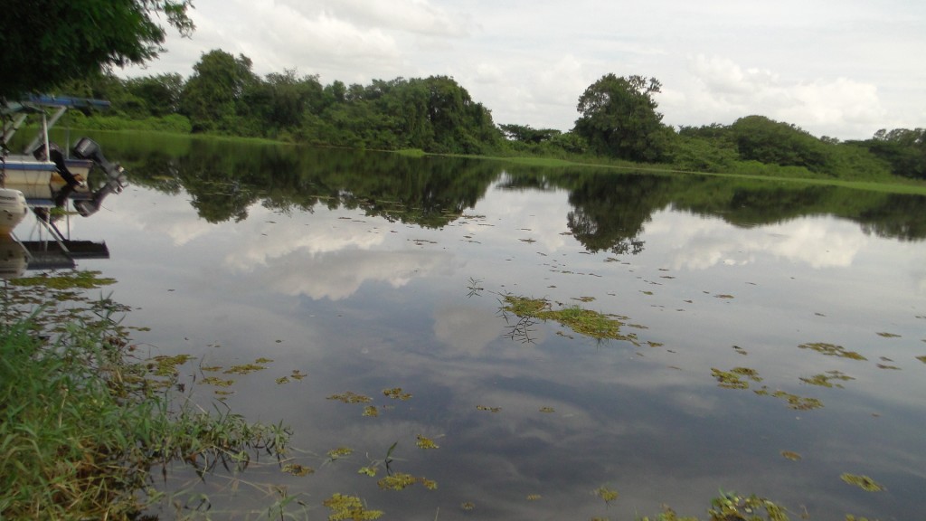 Foto de Cantón de Los Chiles, Reserva Caño Negro, y La Comunidad (Alajuela), Costa Rica