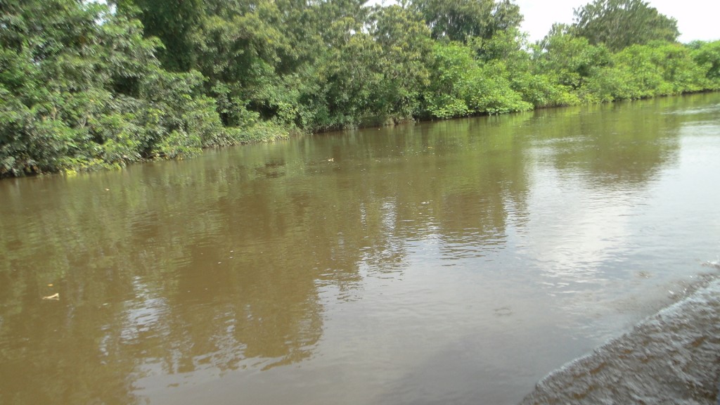 Foto de Cantón de Los Chiles, Reserva Caño Negro, y La Comunidad (Alajuela), Costa Rica