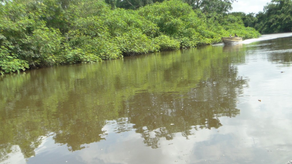 Foto de Cantón de Los Chiles, Reserva Caño Negro, y La Comunidad (Alajuela), Costa Rica