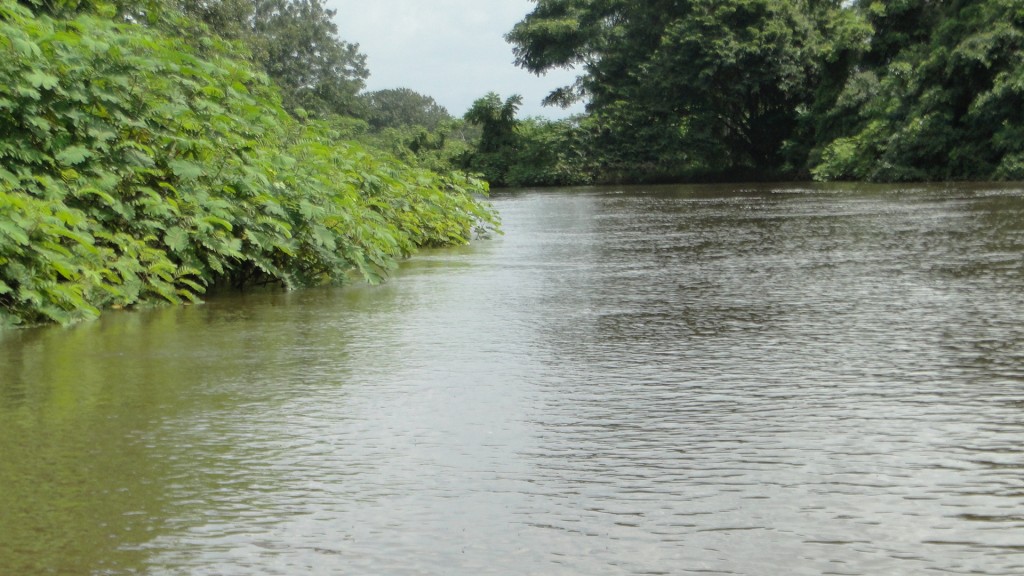 Foto de Cantón de Los Chiles, Reserva Caño Negro, y La Comunidad (Alajuela), Costa Rica