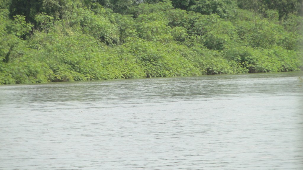 Foto de Cantón de Los Chiles, Reserva Caño Negro, y La Comunidad (Alajuela), Costa Rica