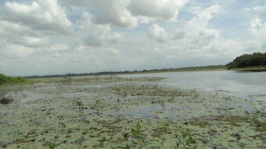 Foto de Cantón de Los Chiles, Reserva Caño Negro, y La Comunidad (Alajuela), Costa Rica