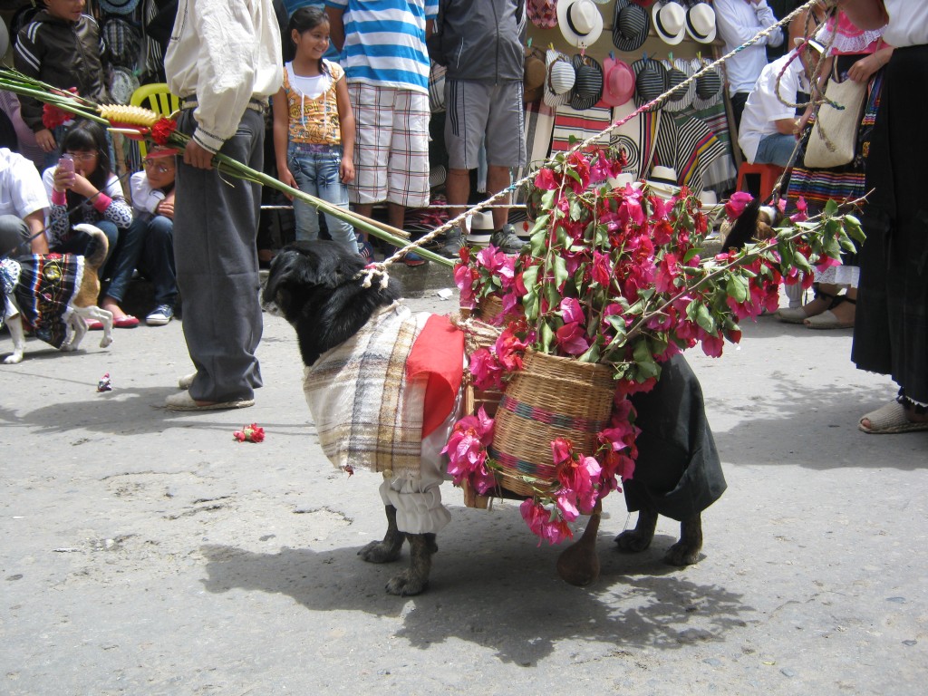 Foto: Desfile de las flores 06/08/2012 - Vélez Santander, Colombia