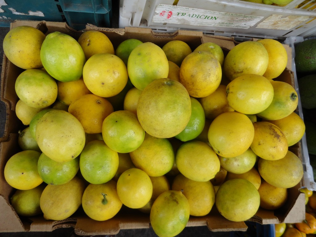 Foto: Frutas - Patate (Tungurahua), Ecuador