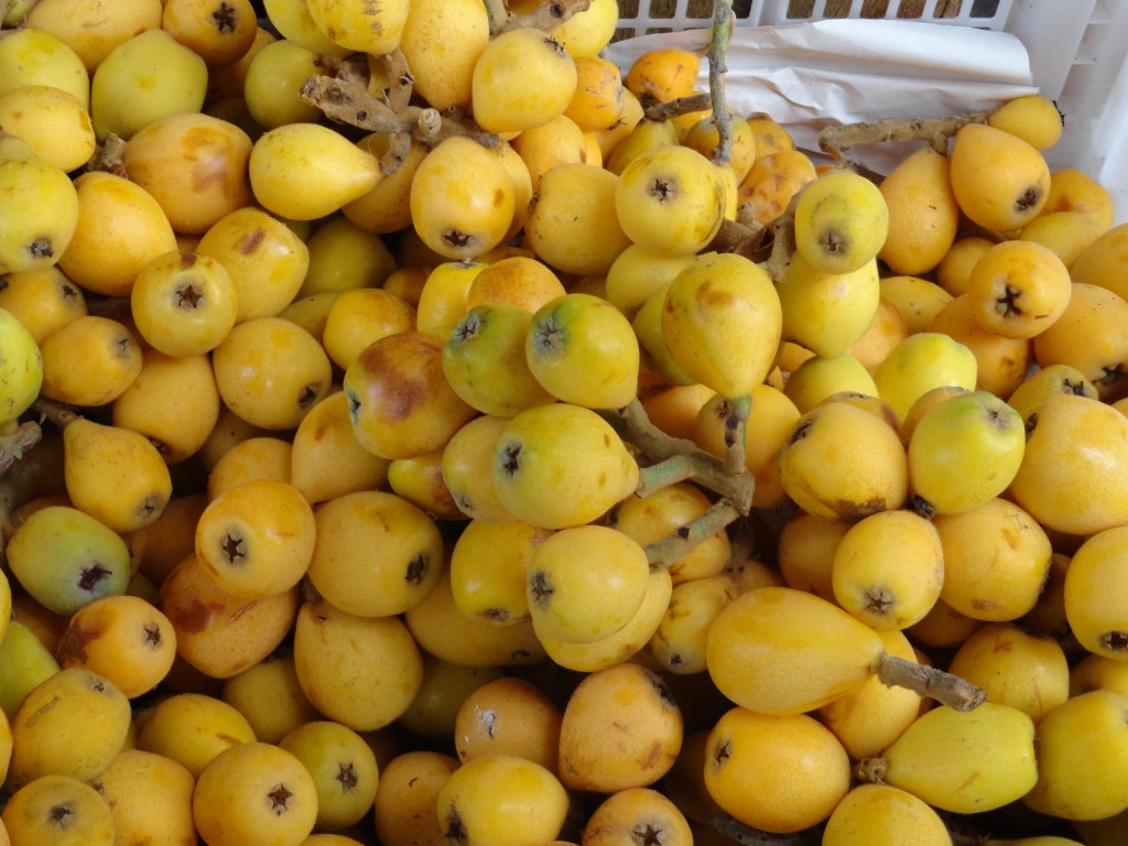 Foto: frutas - Patate (Tungurahua), Ecuador