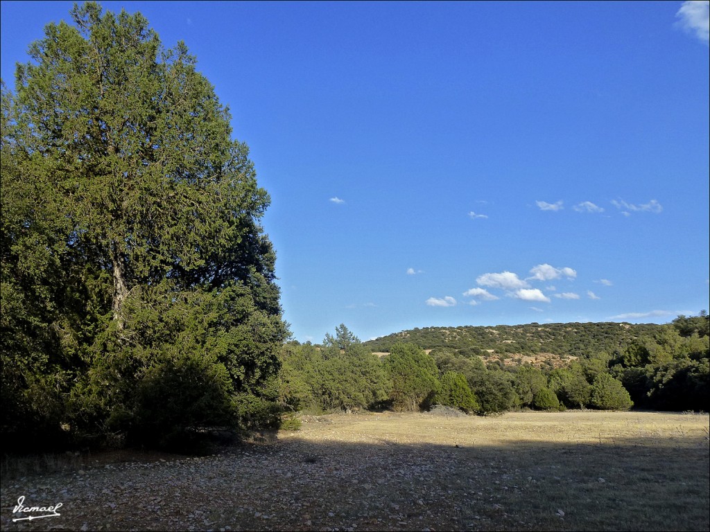 Foto: 120807-14 ALCONCHEL, EL OCINO - Alconchel De Ariza (Zaragoza), España