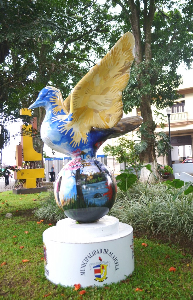 Foto: PALOMAS EN PARQUES DE ALAJUELA - Alajuela, Costa Rica