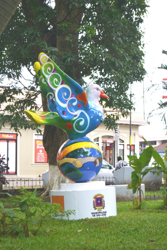Foto: PALOMAS EN PARQUES DE ALAJUELA - Alajuela, Costa Rica