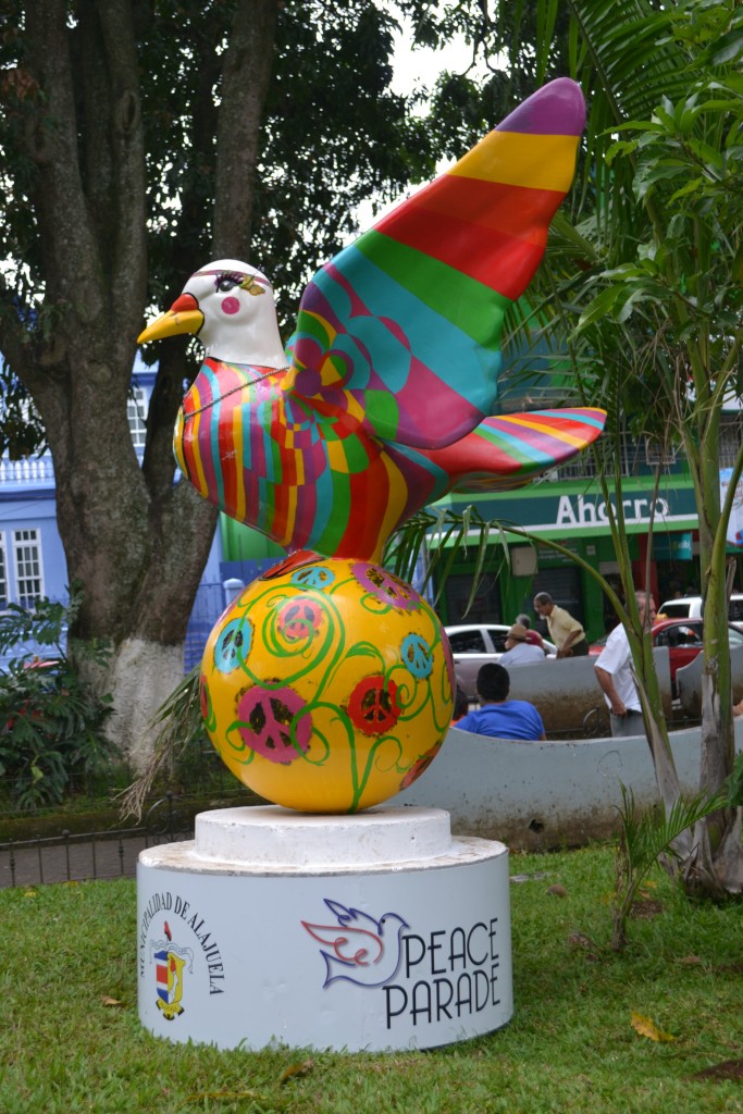 Foto: PALOMAS EN PARQUES DE ALAJUELA, Silvia Duran Piedra - Alajuela, Costa Rica
