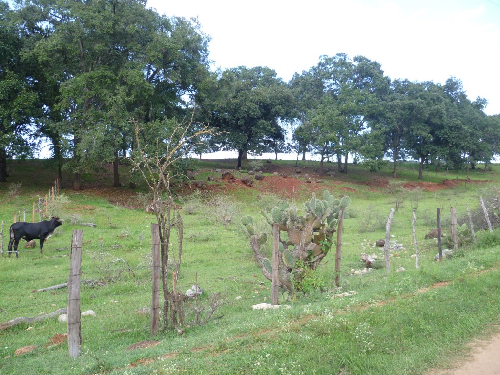 Foto: La Italiana, Luis Oscar - La Italiana (San Luis Potosí), México