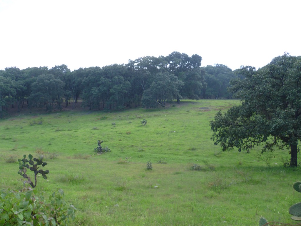 Foto: Luis Oscar - La Italiana (San Luis Potosí), México