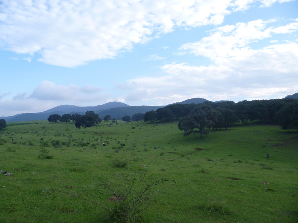 Foto: Luis Oscar - La Italiana (San Luis Potosí), México