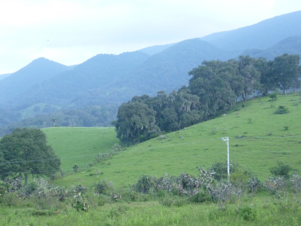 Foto: Luis Oscar - La Italiana (San Luis Potosí), México
